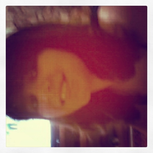 yaaminborges's profile picture. 