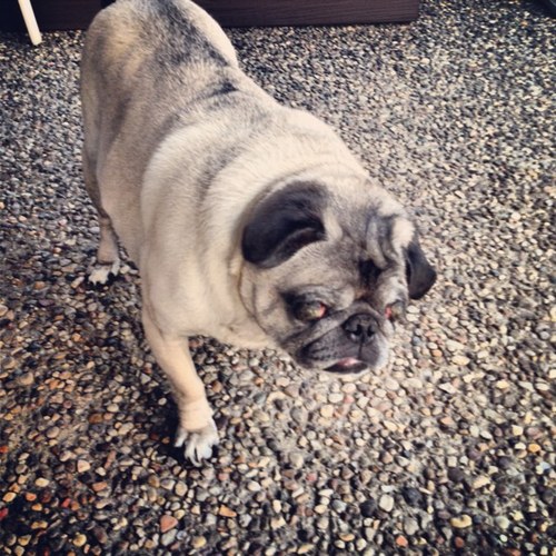 mireilleringle's profile picture. 