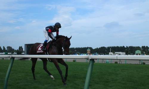 kisaragi_0204's profile picture. 誘われて始めたものの…