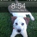 Neal Conley - @pacsad4u - Twitter