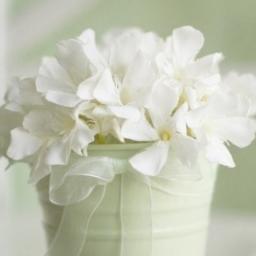 AnitaYan3's profile picture. enjoy life