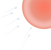 Working On Getting Pregnant & Having A Baby. Learning All I Can About Fertility & Fertility Tests.