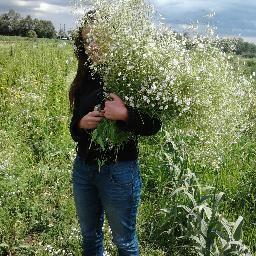 tania_araya's profile picture. Periodista, con derecho al delirio