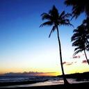 Beryl Smith - @ToBeTotallyFree - Twitter