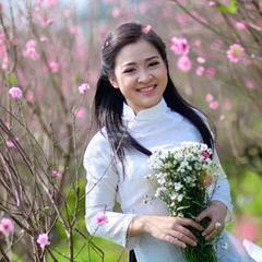 We'll help you create a personal Vietnam holiday where you can get a taste of the real Vietnam.