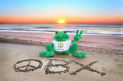 Peace Frogs Frozen Yogurt in the OBX offers frozen yogurt, casual apparel and gifts, all with the fun, positive vibe of Peace Frogs.