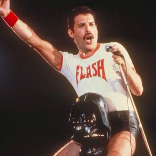 45 años. Cantante de Queen. Orgulloso padre de @ShiaMercurio. Viudo y gay. Extravagante y cariñoso.