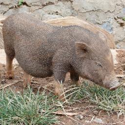 indiscreet_'s profile picture. 