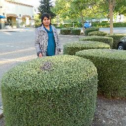 anjanakashyap81's profile picture. I am a simple person with positive attitude.........