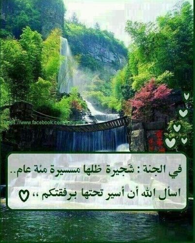 لاتجزع لحادثه الليالي..فما لحوادث الدنيا بقاء..@