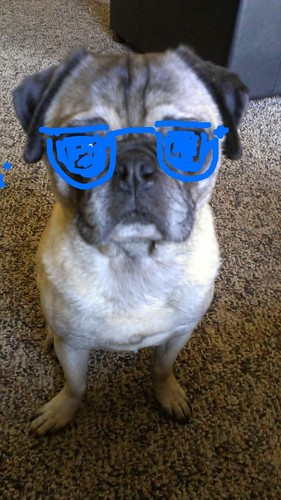 Jenn_Renn_Glenn's profile picture. 