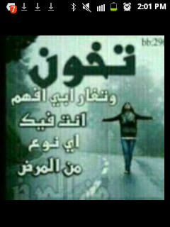 prog19's profile picture. 