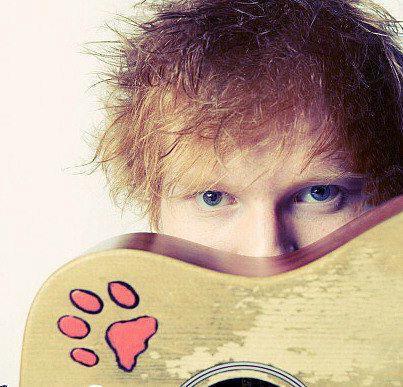 The definition of perfect is Ed Sheeran ♡