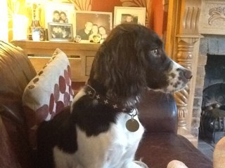 nannymary13's profile picture. 