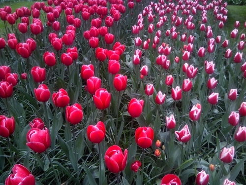 antonhuijbregts's profile picture. 