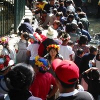 Adelaida Otalora (@cocomimoso) 's Twitter Profile Photo