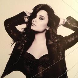 Achei que o céu era grande, até descobrir meu amor por você @ddlovato