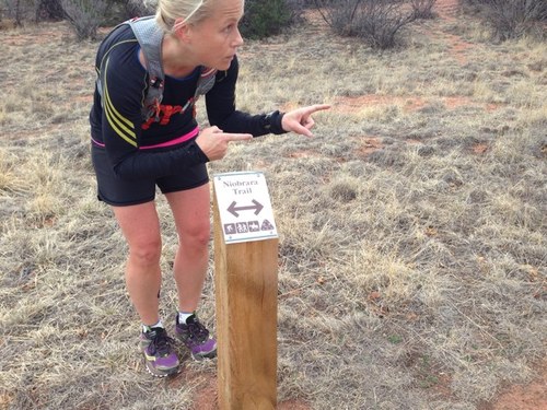 amyeliseperez's profile picture. I recently took up ice sculpting. Last night I made an ice cube. This morning I made 12, I was prolific.