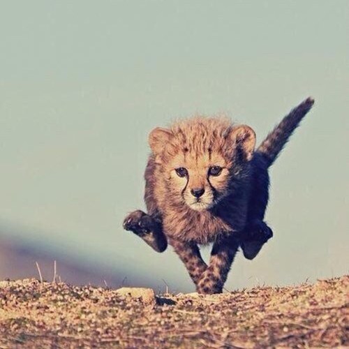 backmeup321's profile picture. 