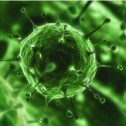 Virushockwave's profile picture. Simply the best man to step foot on this earth. Subscribe to virushocked on youtube  now lets hit that follow button now!! : )-