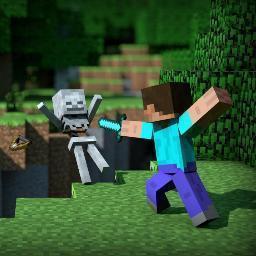 Gamer de minecraft