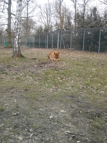 chwereb's profile picture. 