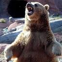 Cathy Pearson - @pearsonality - Twitter