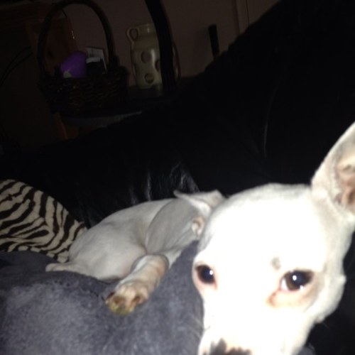 booze4money's profile picture. nationals fan, tennis player, runner, animal lover.