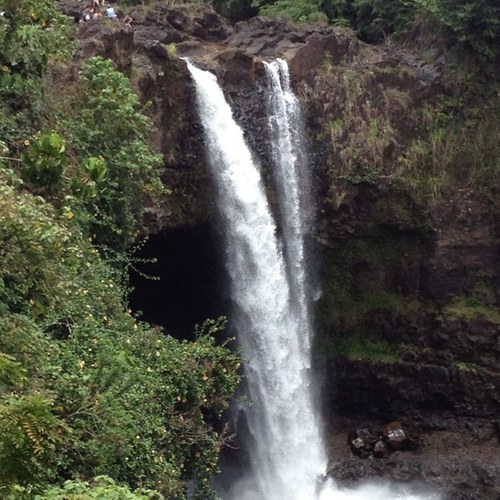 forbesX's profile picture. 