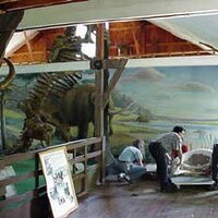 BMAS (@bergenmuseum) 's Twitter Profile