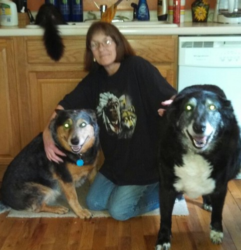 mckiddie_j's profile picture. 68 yrs old, love the blues, my dog, dislikes r prejudice,moral,religious, political, or monetary absolutism.