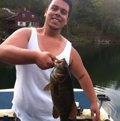 frankthetankk66's profile picture. 