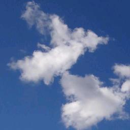 AlessandraAnca's profile picture. 