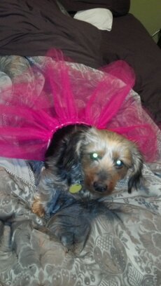 makaski80's profile picture. 