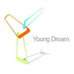 YOUNG DREAM BUSINESS INTEREST GROUP