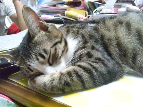 かかってこいよ