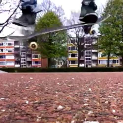 Skate everyday | Step everyday | Website building | Webshop | Netherlands