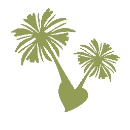 TwinPalmsSalon's profile picture. Pampering is our purpose.