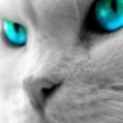 Machinearm's profile picture. I'm a twitter reader :)