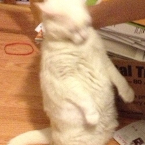 Mbrunski's profile picture. 