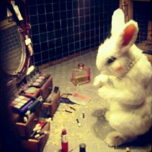 ‏‏‏