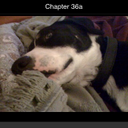 Michelle Galusha - @MLGalusha - Twitter