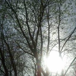 The sun. The moon. The truth.
Smile, because today is a good day ❤
