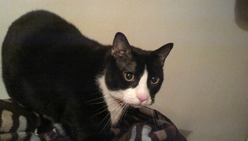 AndCarrots's profile picture. 