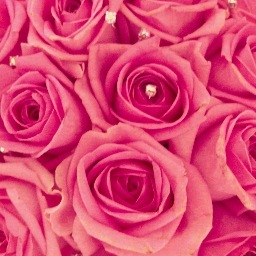 OnceUponTimeWed's profile picture. I love everything about weddings! A blog with wedding ideas and inspiration for your big day! Aspiring Wedding Planner