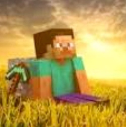 minecrafting517's profile picture. Editor de videos de Sh4dowBlaster.
