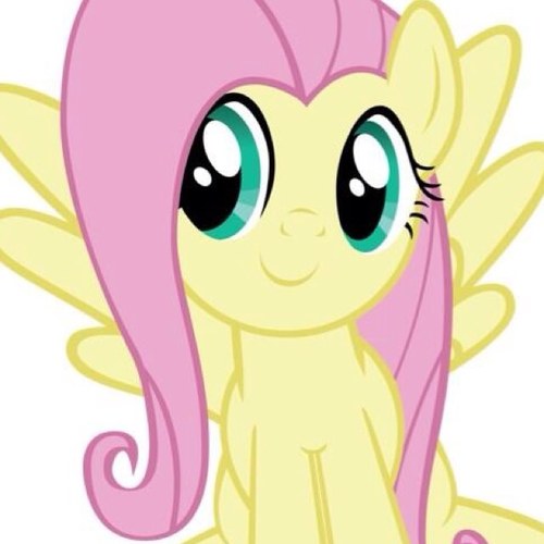 Um... Hello... My name's Fluttershy....