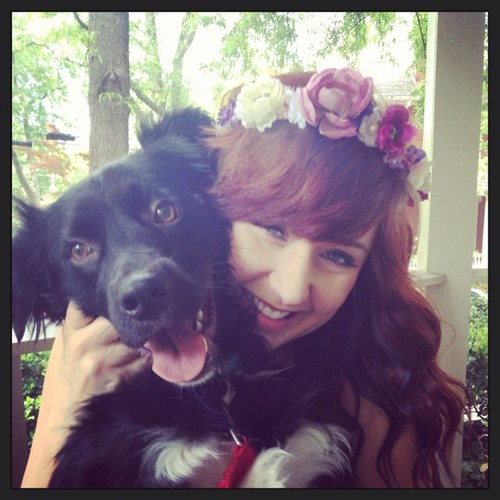 Border collie enthusiast.