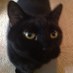 Ted W (@soxilliniunifan) Twitter profile photo Ted W (@soxilliniunifan) Twitter profile photo