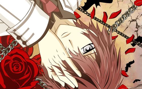 16|| Modelo junto a Rima Touya || Desinteresado en casi todo || Hamor a los pockys || #VampireKnight